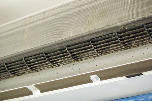 Best HVAC System Cleaning  in Kendall Park, NJ